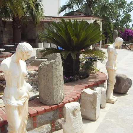 La Rosa 博德鲁姆