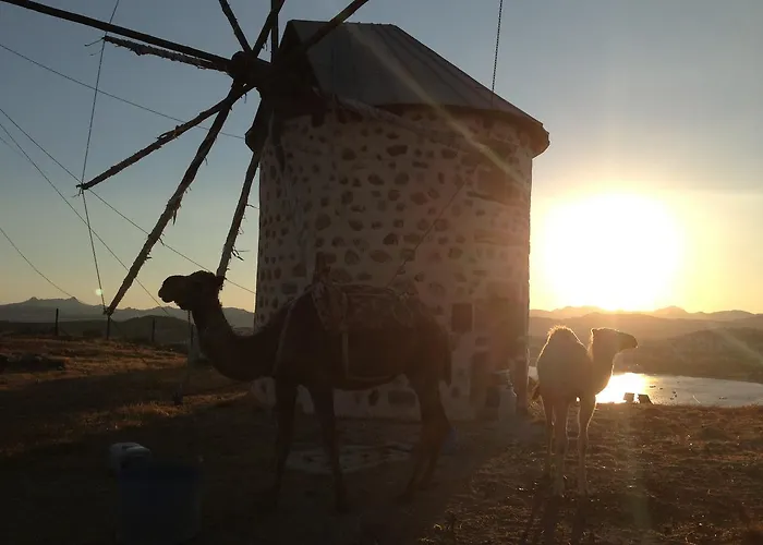 מלון La Rosa בודרום